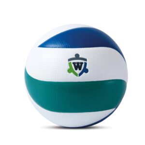 Pelota Voley Profesional Wolfi Pro
